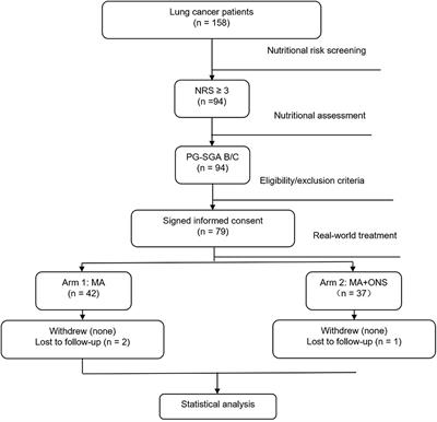 Effect of Megestrol Acetate Combined With Oral Nutrition Supplement in Malnourished Lung Cancer Patients: A Single-Center Prospective Cohort Study